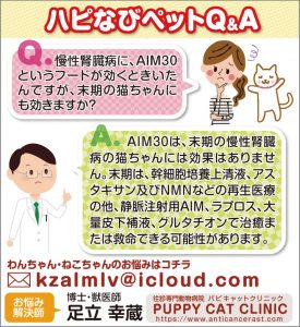 Puppy Cat Clinic 飼い主の皆さまへ ペットに関するコラムを掲載中