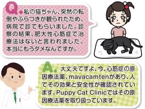 イラスト